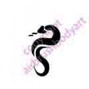 0257 snake reusable stencil